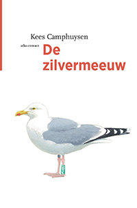 De Zilvermeeuw