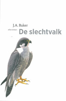 De Slechtvalk