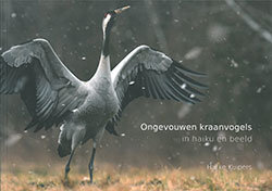 Ongevouwen kraanvogels in haiku en beeld