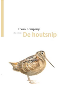 De Houtsnip