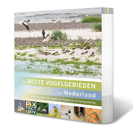 De beste vogelgebieden van Nederland