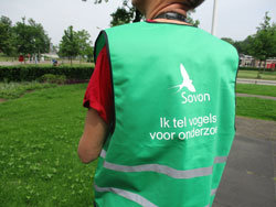 Hesje voor waarnemers