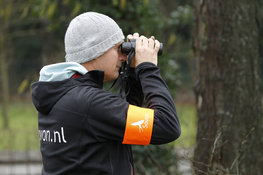 Inventarisatiearmband