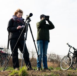 Cursus water- en wintervogels