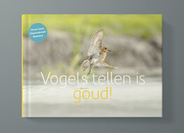 Vogels tellen is goud!