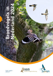 Broedvogelrapport
