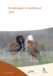 Broedvogelrapport